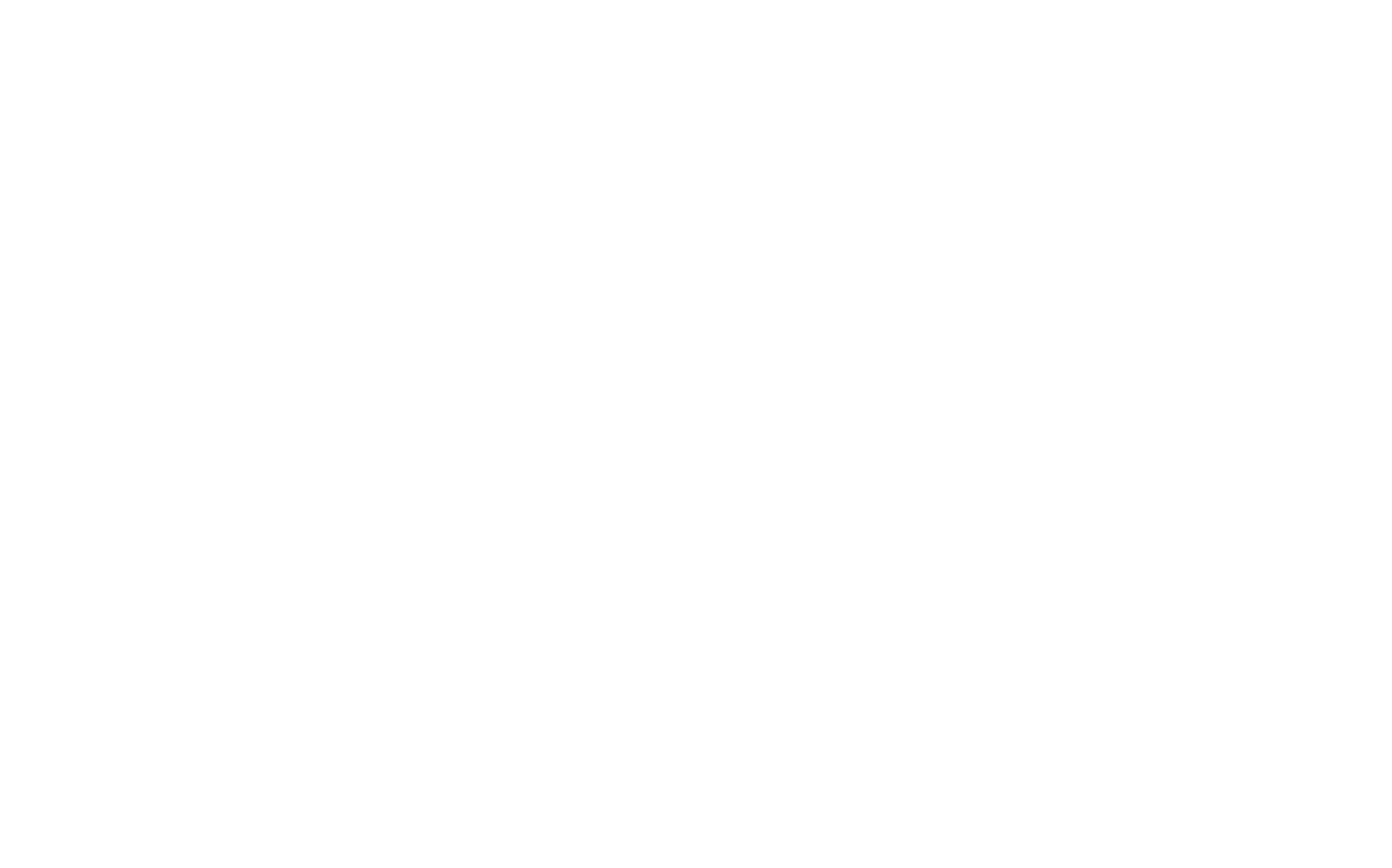 logo footer